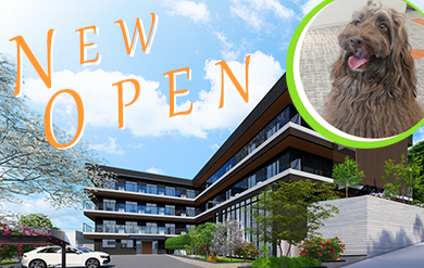 2026年3月名古屋市瑞穂区に開設のニチイメゾン八事緑ヶ岡ではオープニングスタッフ募集