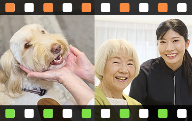 動画でわかるニチイケアパレス