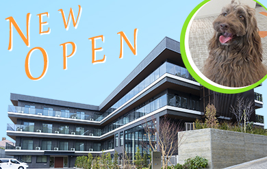 2026年3月名古屋市瑞穂区に開設のニチイメゾン八事緑ケ岡ではオープニングスタッフ募集